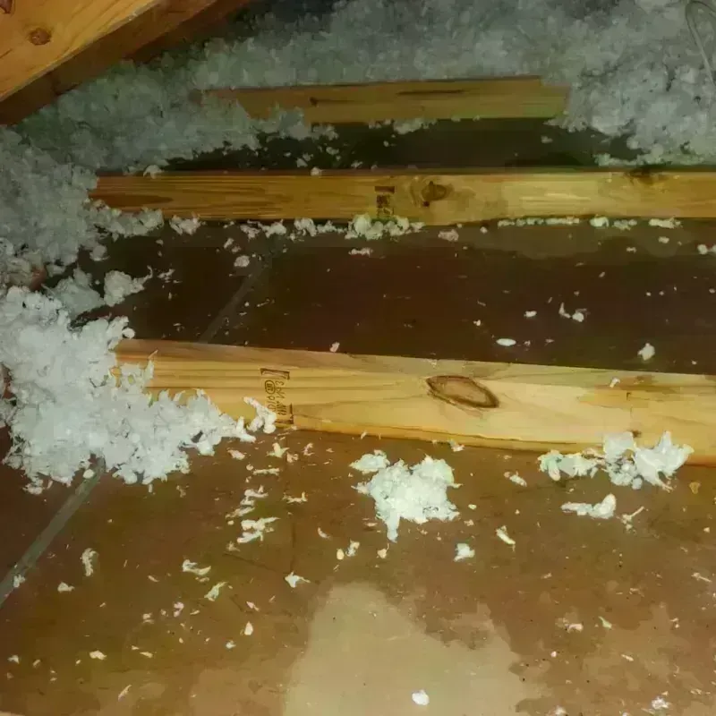 Attic Water Damage in Fairview, OK