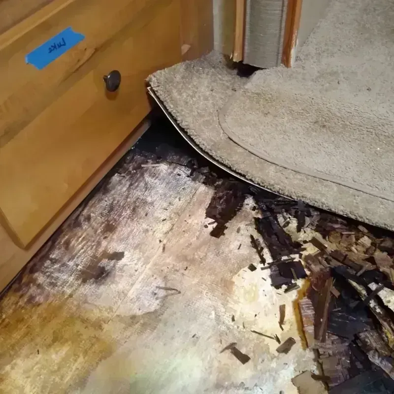 Wood Floor Water Damage in Fairview, OK